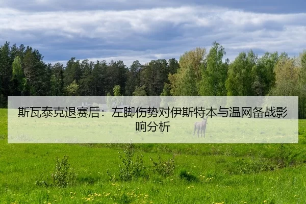 si-wa-tai-ke-tui-sai-hou-zuo-jiao-shang-shi-dui-yi-si-te-ben-yu-wen-wang-bei-zhan-ying-xiang-fen-xi-2-633.jpg